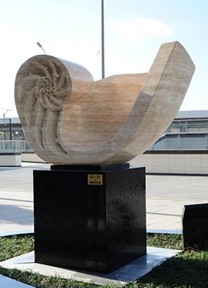 Nautilus